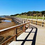Seaside Sunflower Quinta do Lago