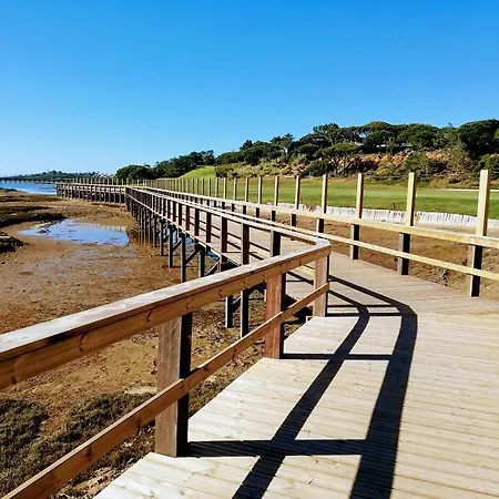 Seaside Sunflower Quinta do Lago