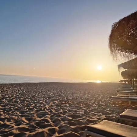 Seaside Sunflower كينتا دو لاغو