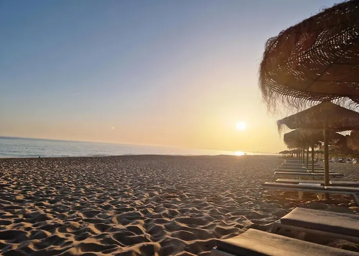 Seaside Sunflower キンタ・ド・ラーゴ